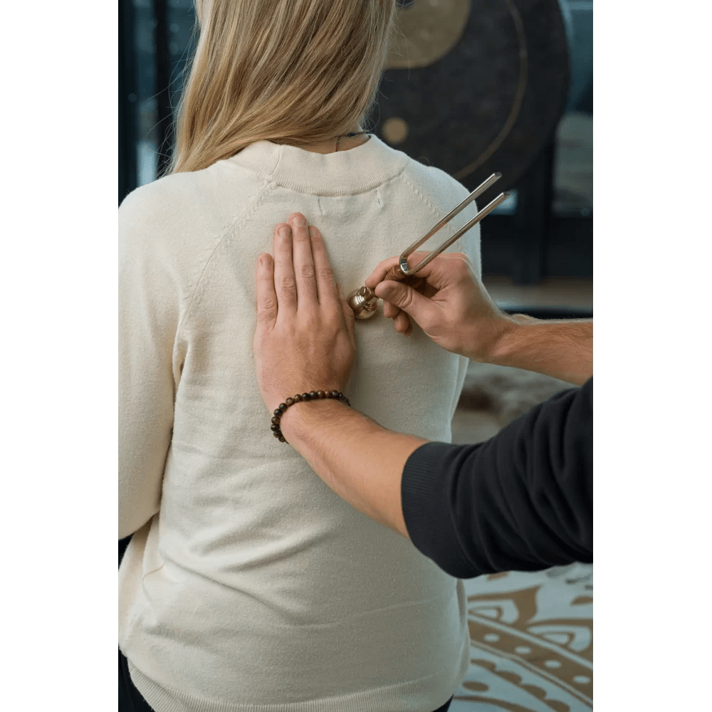 Accessori Diapason: piedino tondo medio - VibraSonic